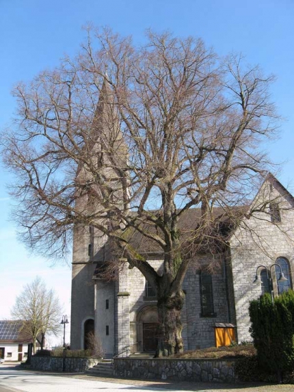 Bild 2 von Linde an der Kirchstraße